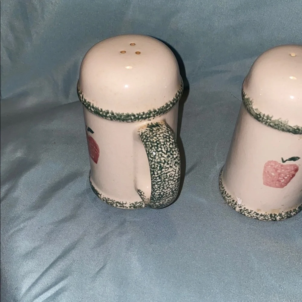 BX48 Apple Design Salt and Pepper Shakers